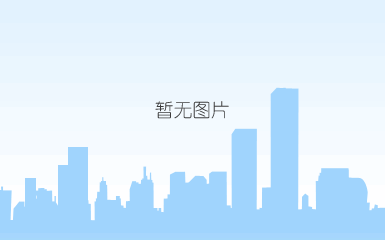 柴油清净剂